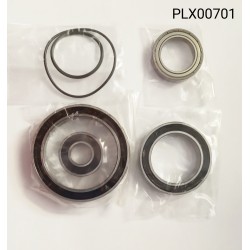 Yamaha PW-X & X2 ebike motor bearings